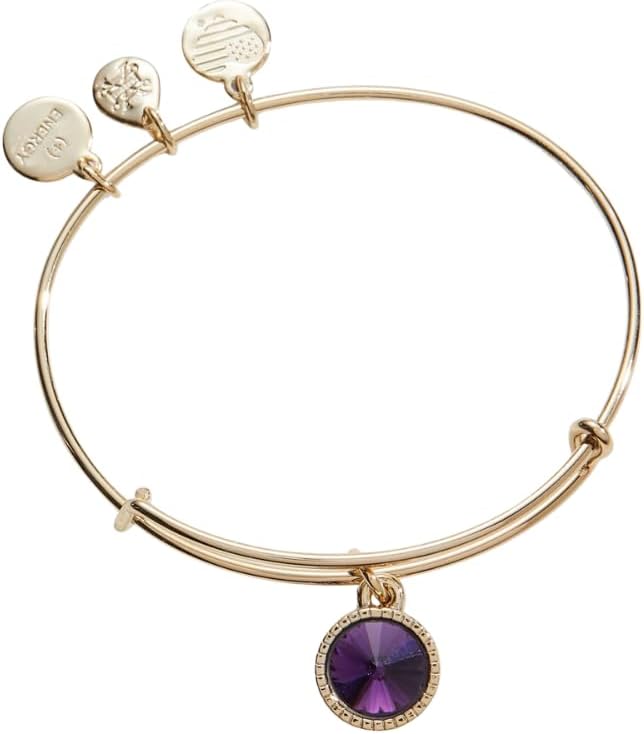 Best Bracelet for Women: Alex and Ani Birthstones Expandable Bangle with Birthday Crystal Charms – Shiny Finish Review (2 to 3.5 in.)